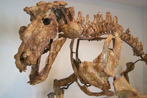 Estemmenosuchus uralensis, by M. Flanery - image.