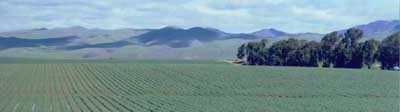 Santa Barbara County farm image