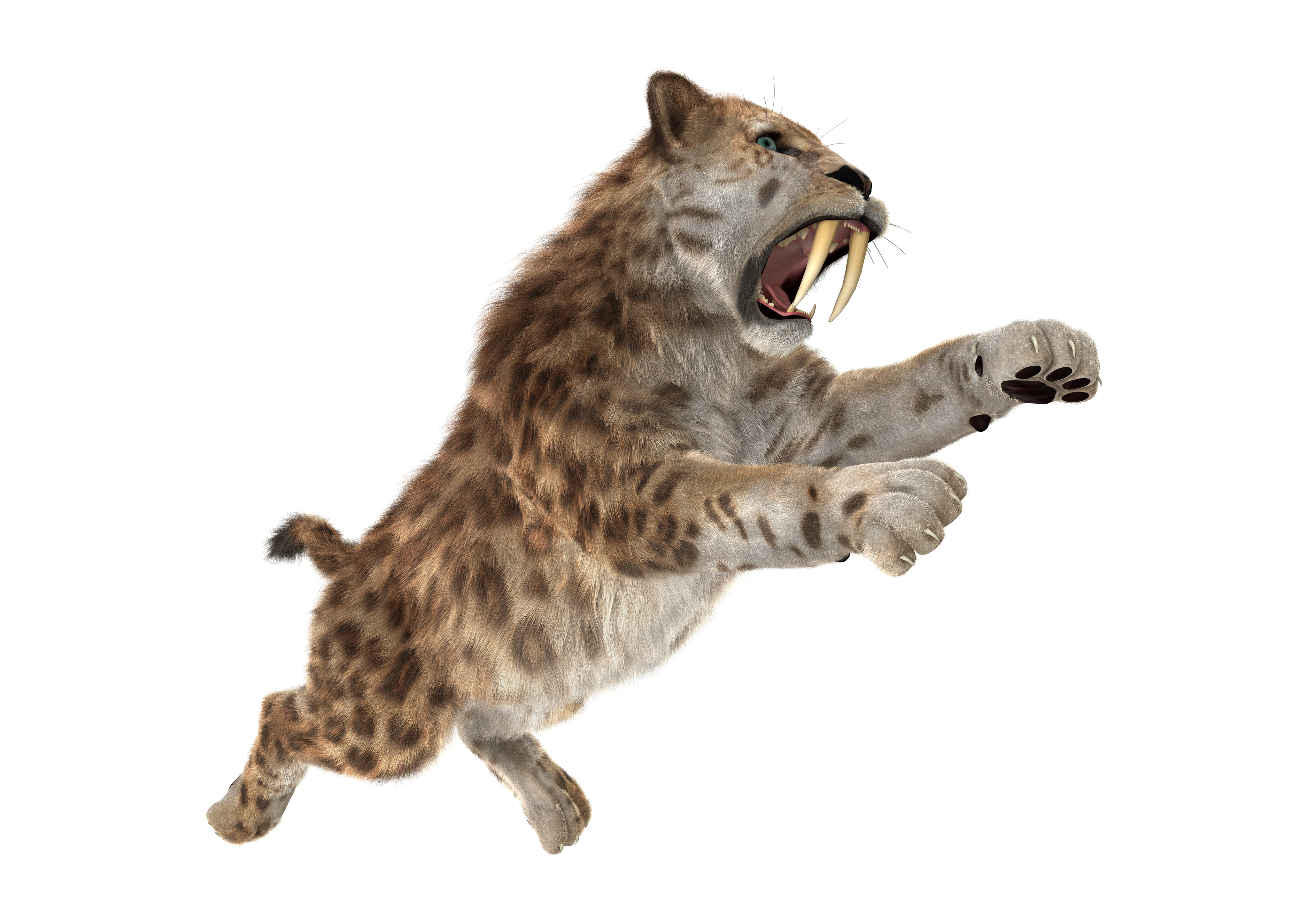 3D rendering of sabertoothed cat