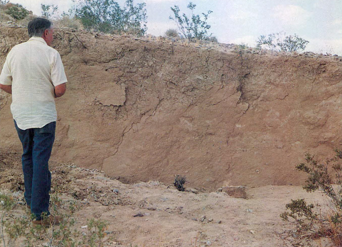 Vertical scarp of the Emerson fault near the zone of maximum fault displacement.