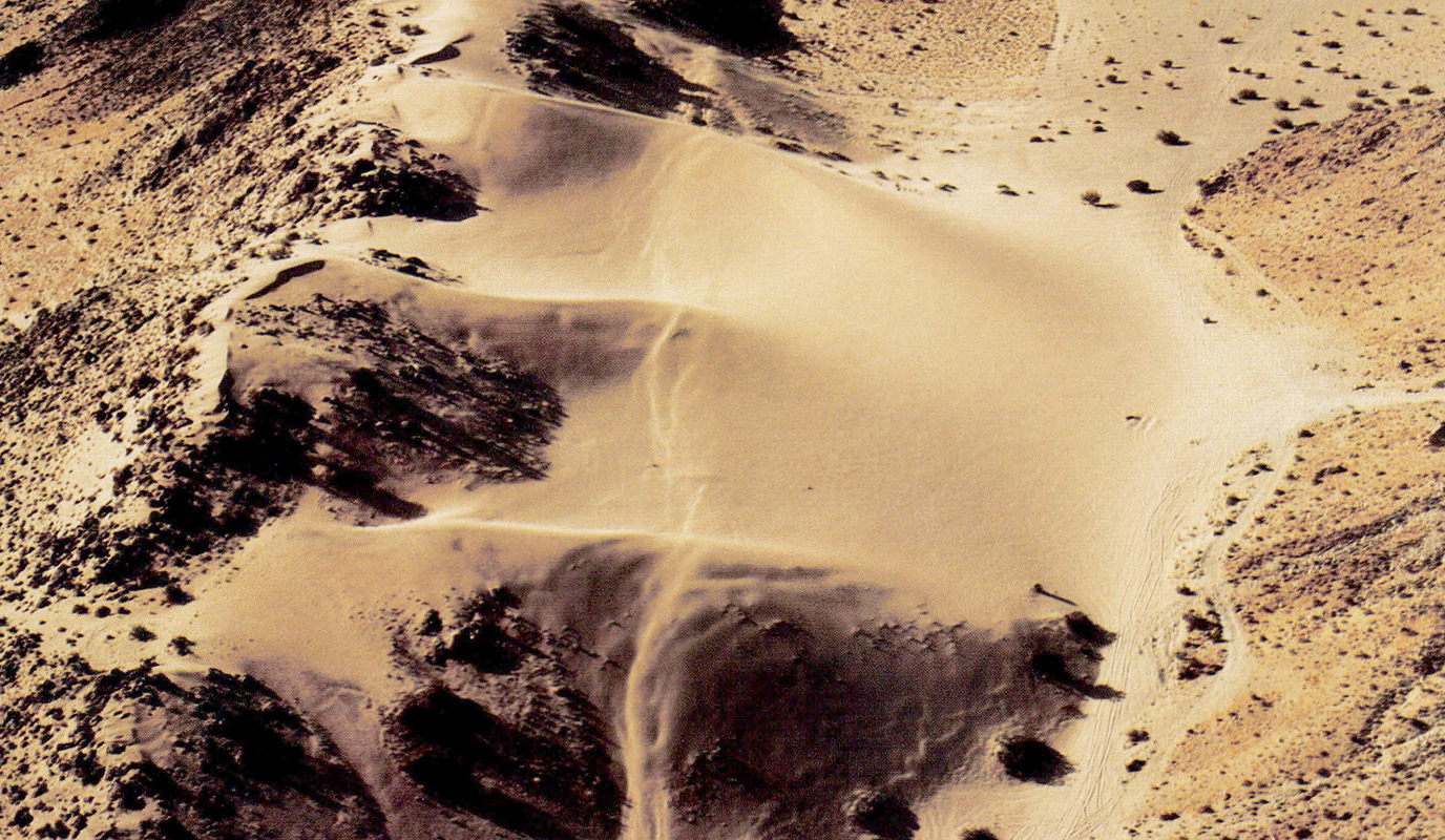 Unusual ruptures in sand dunes along northern segment of Homestead Valley Fault.