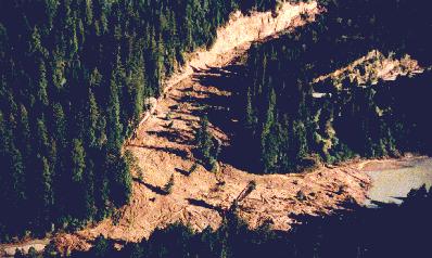 Photo of translational/rotational landslide