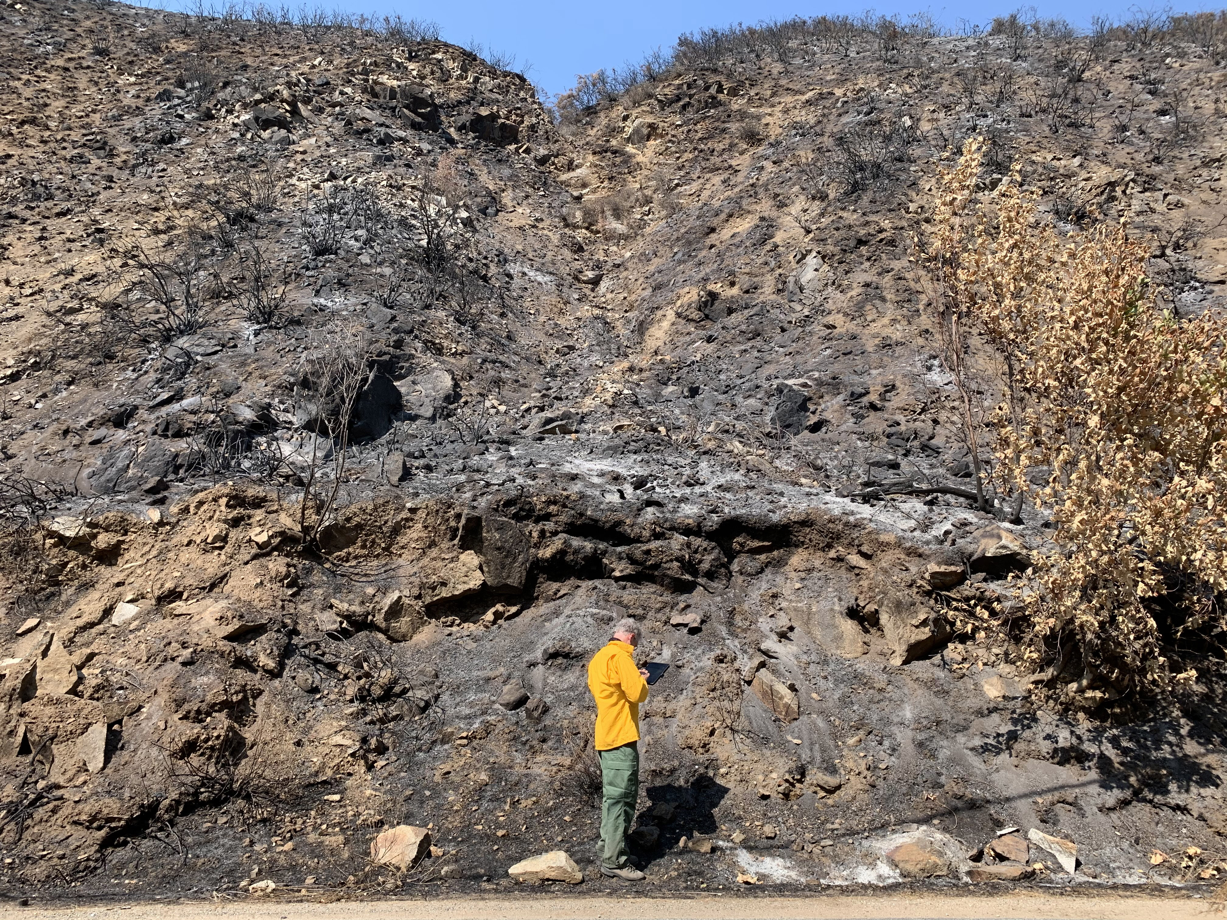An individual taking notes at the base of a burned slope.