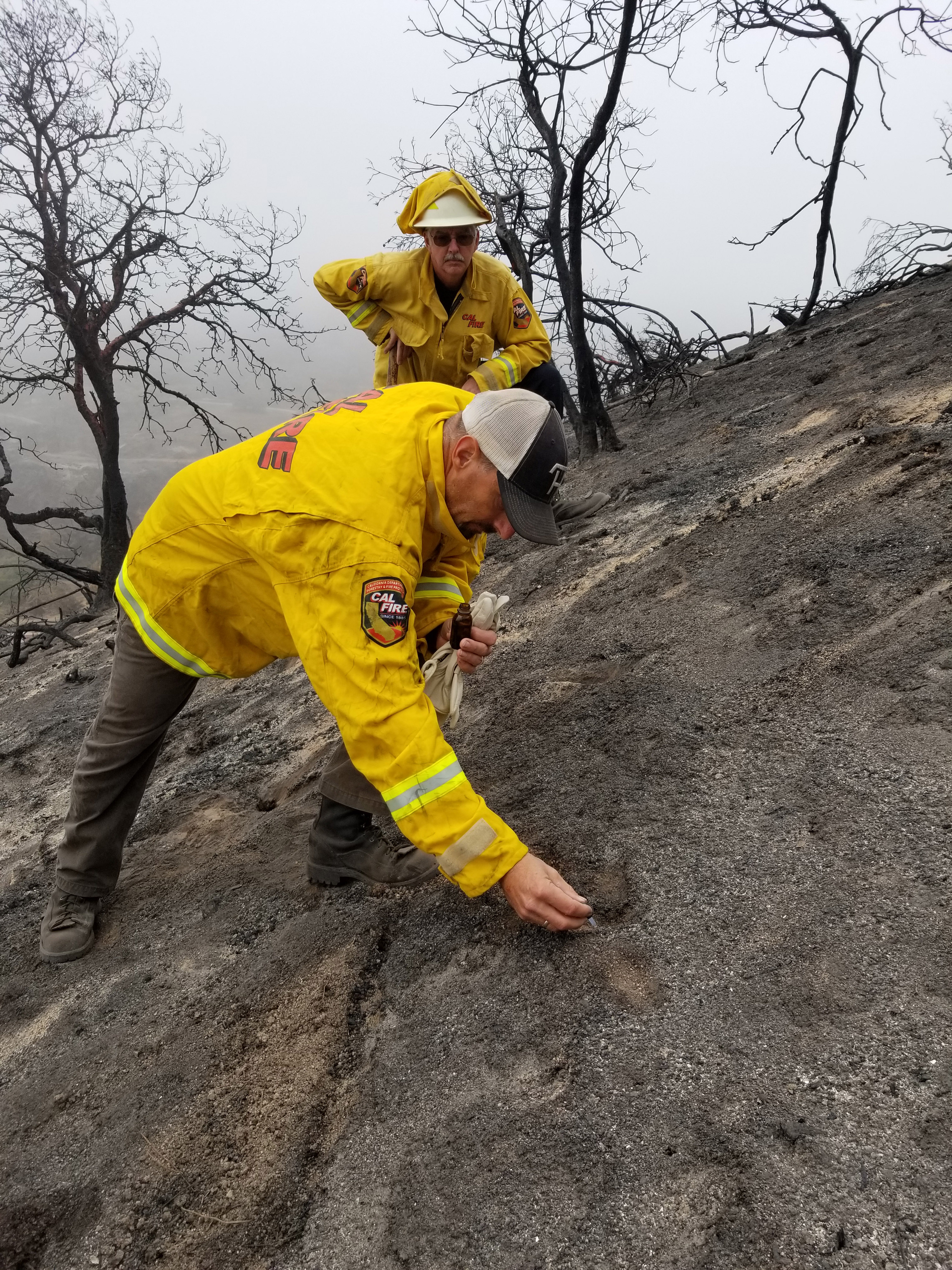 Two individuals on a charred hillside. One of the individuals is reaching down to the ground while the other observes.