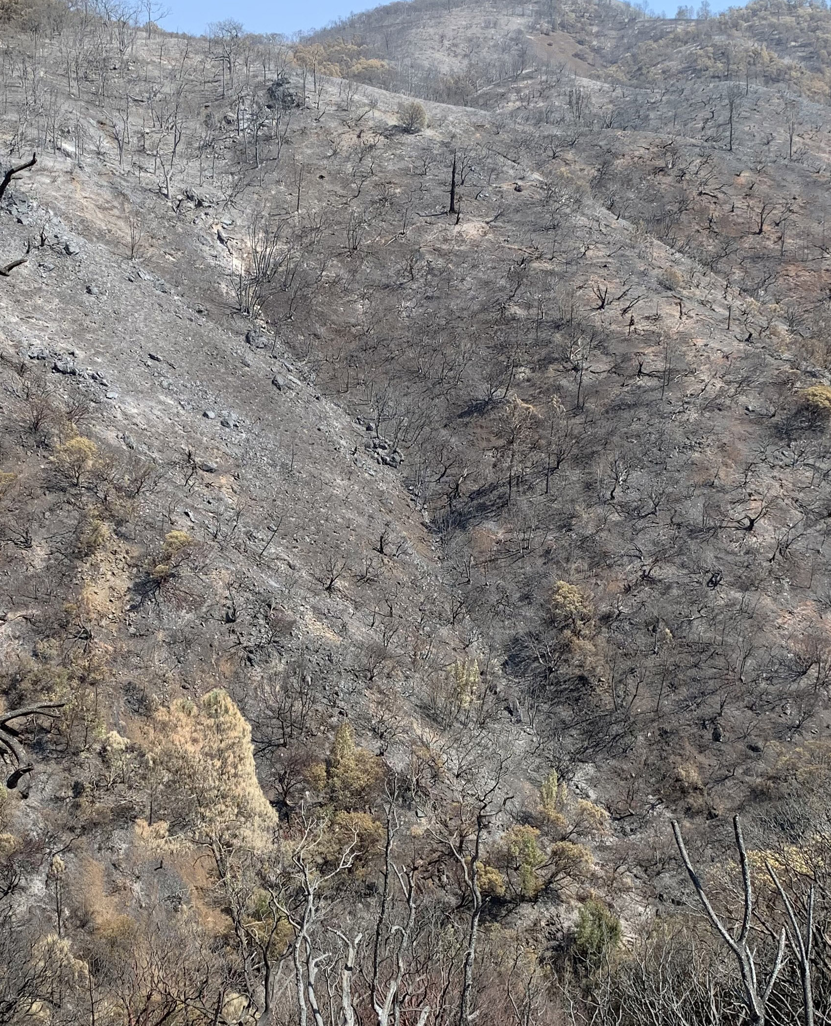A steep gully denuded by fire. Bare soil and boulders are all that remain.