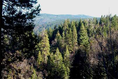 South Fork American River Watershed