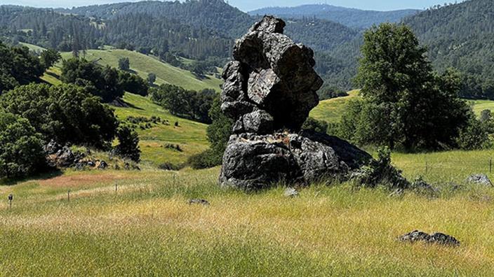 Rock outcrop in pasture.