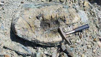 Rock hammer resting on top of serpentinite boulder.