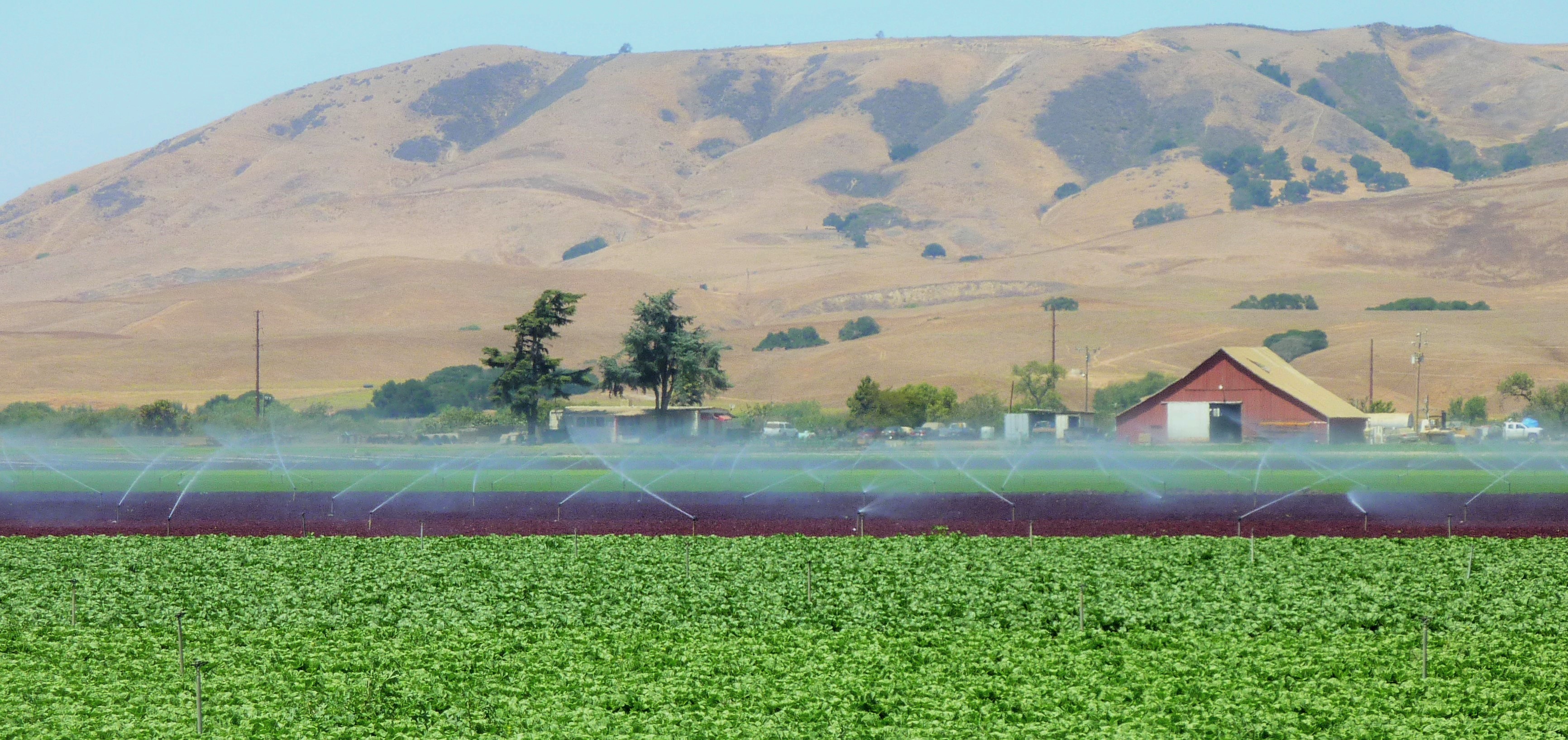Irrigated Farmland in Monterey County.