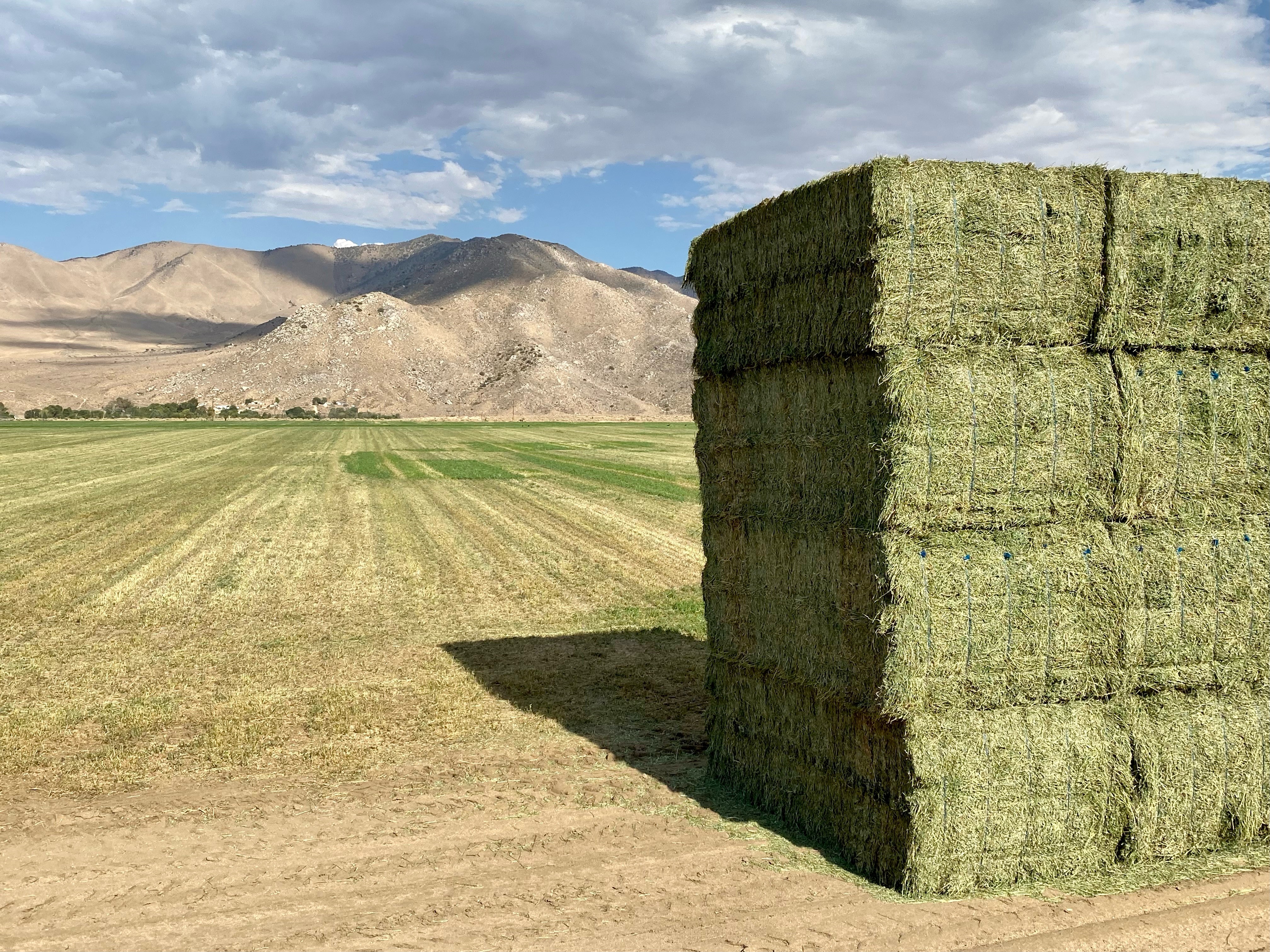 Photo of Hay Bale with scenic view of hills behind.