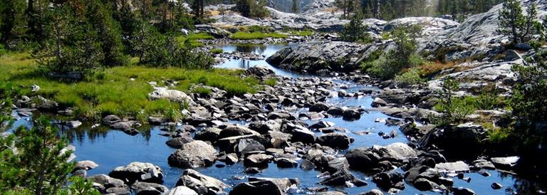 Watershed Coordinator Program