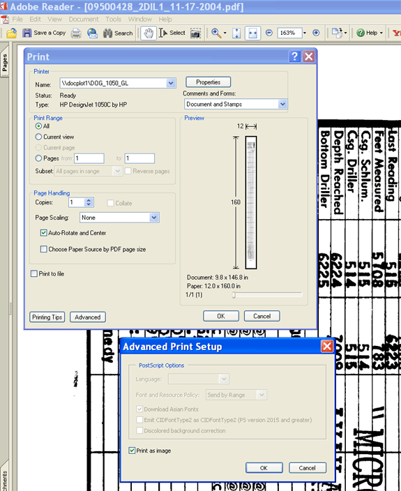 Printing setup instructions
