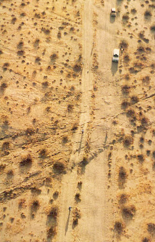 Wide zone of deformation along the Emerson fault.