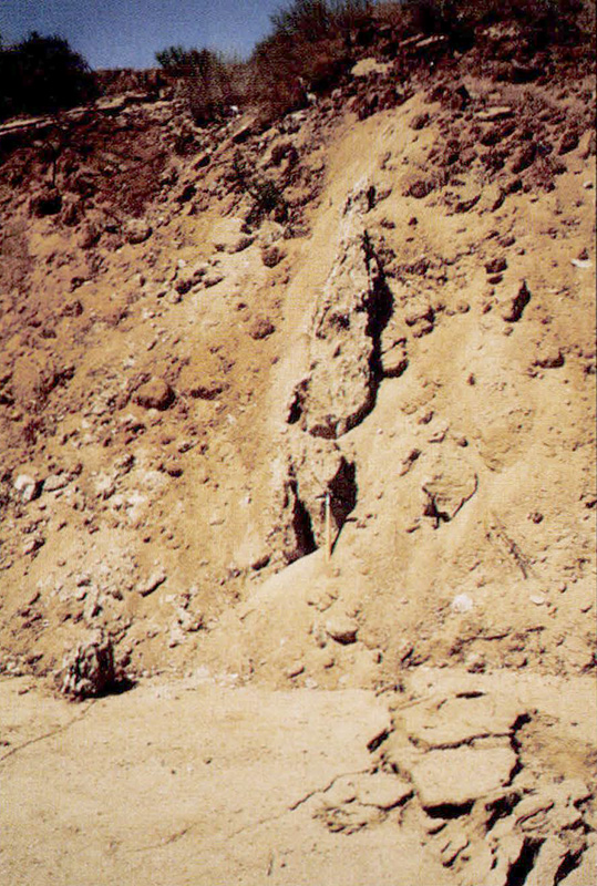 Exposure of Johnson Valley Fault in hillside cut.
