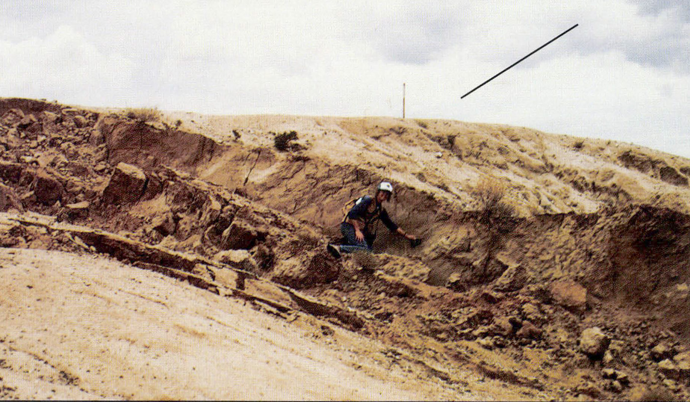View toward northeast at offset south slope of ridge.