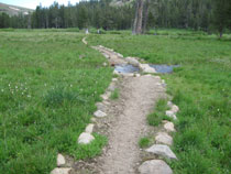 Meadow foot path