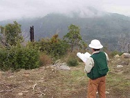 Geologist examining a site
