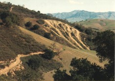 Hillside OHV park