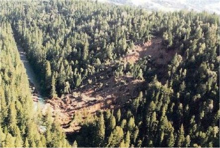 Image of landslide in a forested watershed