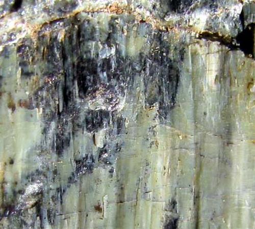 Polished serpentine rock specimen.