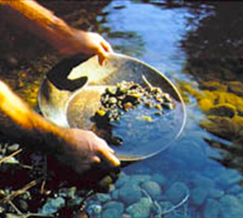 Gold panning in a stream.