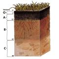 Profile view of soil layers.
